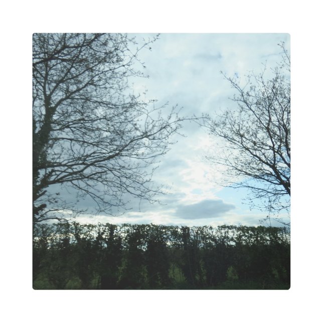 Naturaleza 16"x16" Arte Metalizado (Anverso)