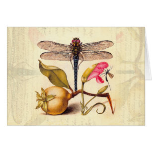 Naturaleza botánica de la libélula