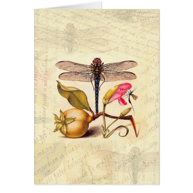 Naturaleza botánica de la libélula (Frente)