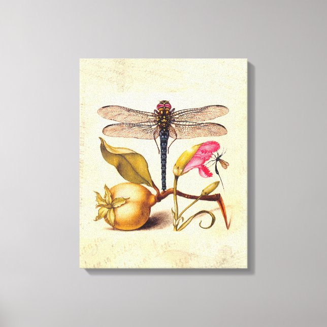 Naturaleza Botánica Libélula Arte Hoefnagel (Anverso)