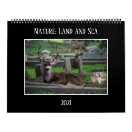 Naturaleza: Calendario de Tierra y Mar 2021