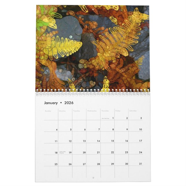 Naturaleza - calendario del estilo de Paintography (Jan 2026)