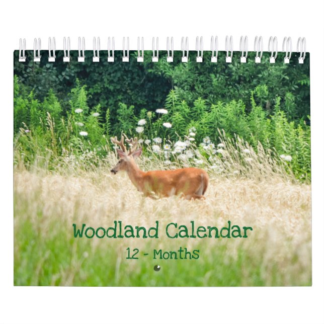 Naturaleza de las criaturas de bosques Calendario  (Tapa)