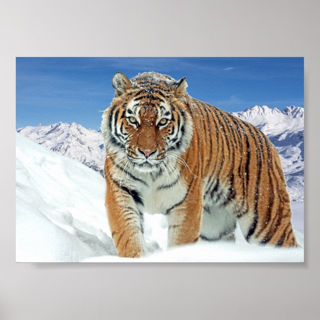 Naturaleza de los Montes Tigres Foto Impresión de  (Frente)