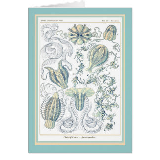 Naturaleza del der de Ernst Haeckel - de