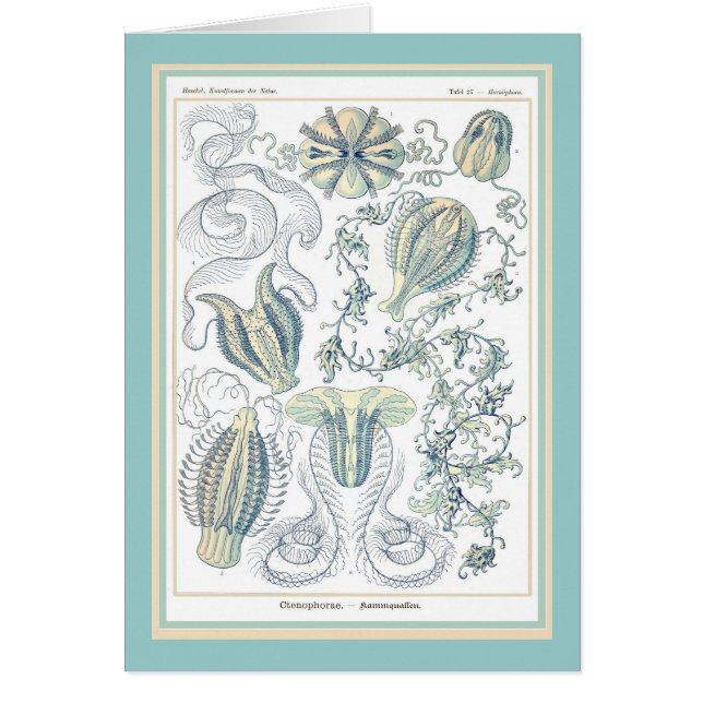 Naturaleza del der de Ernst Haeckel - de (Frente)