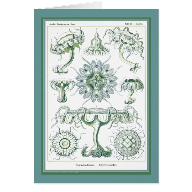 Naturaleza del der de Ernst Haeckel - de (Frente)