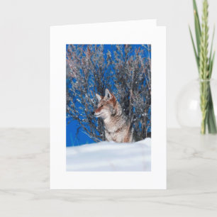 Naturaleza del invierno de las tarjetas de felicit