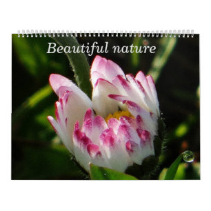 Naturaleza hermosa del calendario