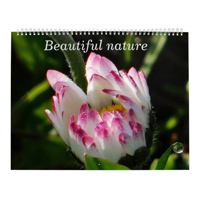 Naturaleza hermosa del calendario (Tapa)