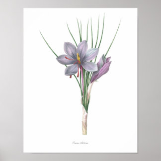 Naturaleza, huella botánica, arte floral de Saffro