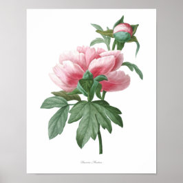 Naturaleza, huella botánica, poster de arte floral