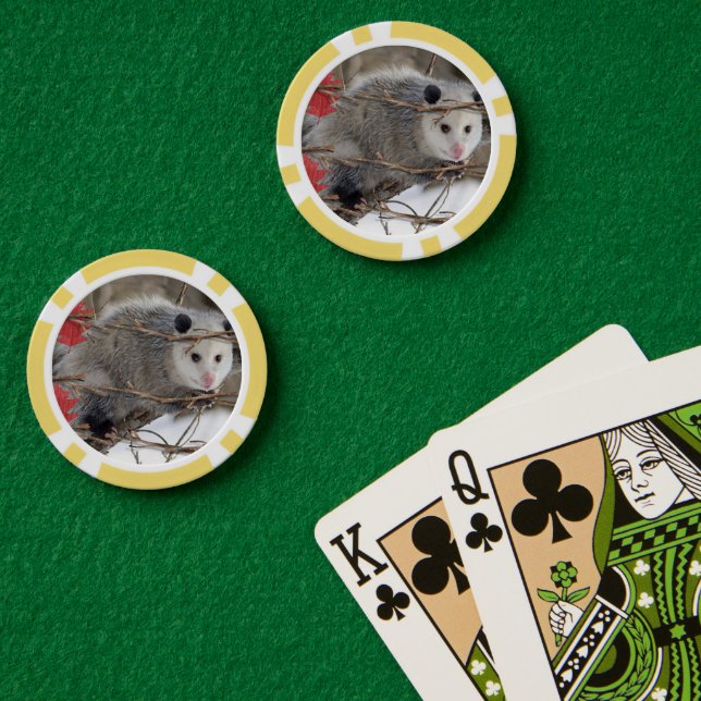 Naturaleza Opossum de los Chips de póquer (Mesa de Poker (Doble))