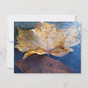 Naturaleza otoñal de la hoja de arce amarilla cong