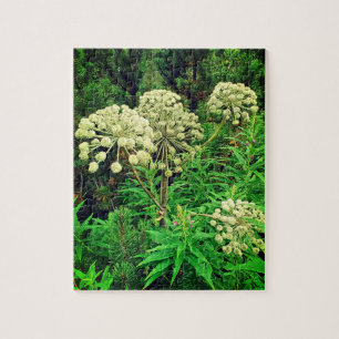 Naturaleza, plantas, rompecabezas de fotografía