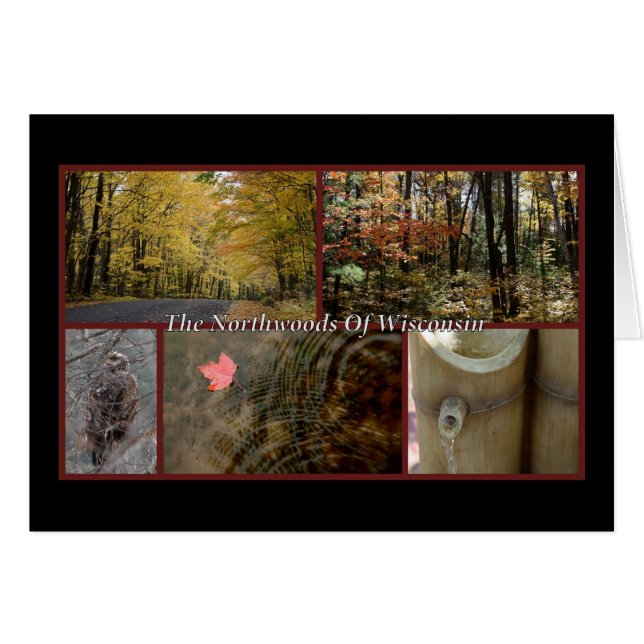 Naturaleza Postcard Northwoods Wisconsin Temporal (Anverso (Horizontal))