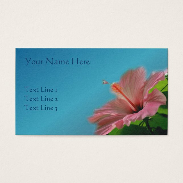 Naturaleza rosa de las flores de Hibiscus (Frente)