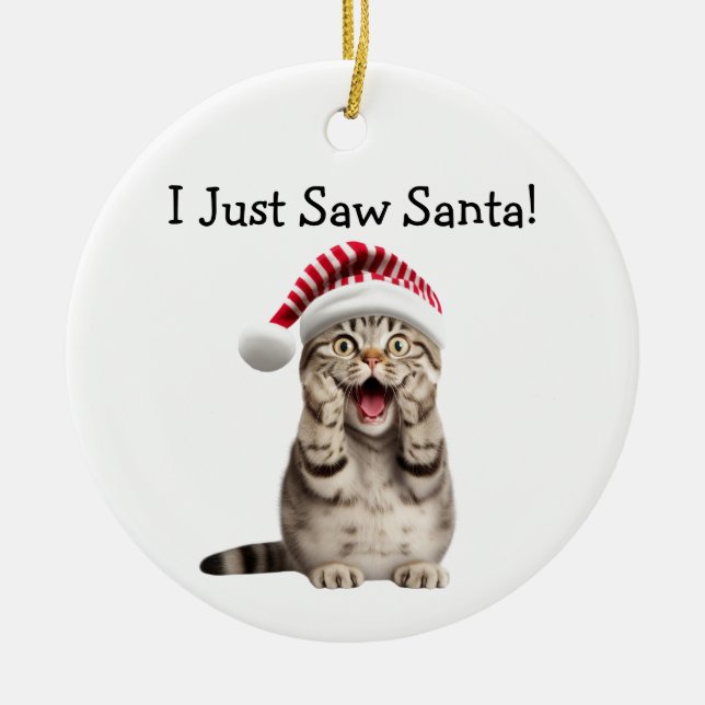 Naughty Kitty Navidades se burlan de un adorno de  (Frente)