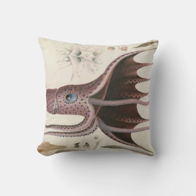 Náutico/vida marina/calamar/pulpo 20" almohada (Anverso)
