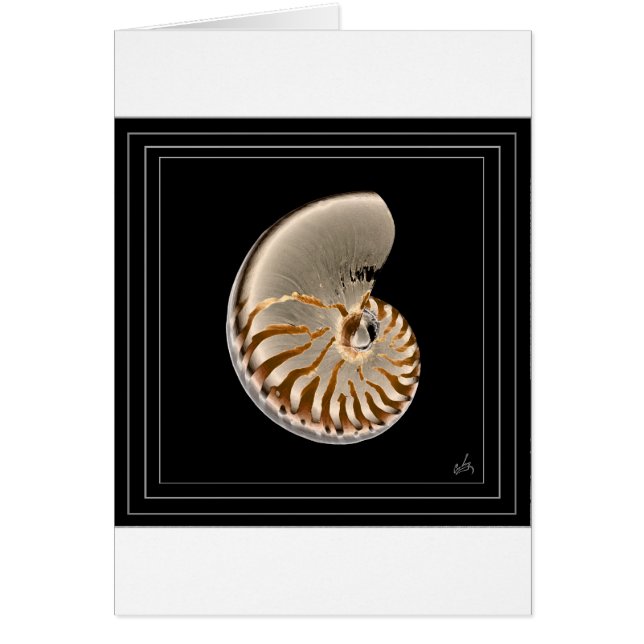 nautilus (Frente)
