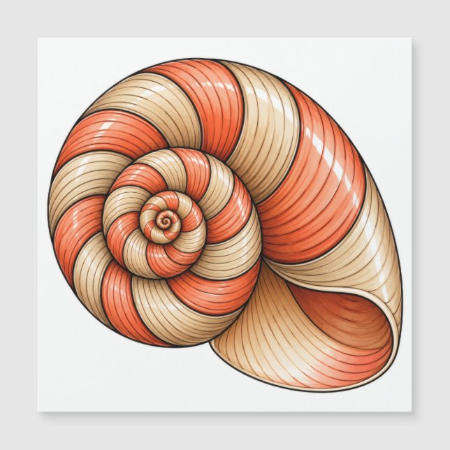 Nautilus de coral (Anverso)