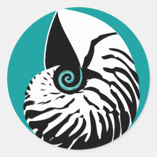 Nautilus pegatina