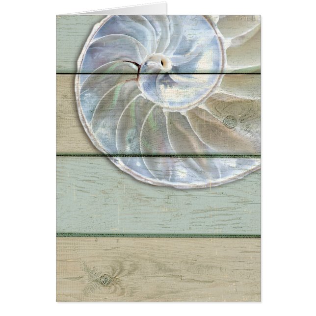 Nautilus Shell (Frente)