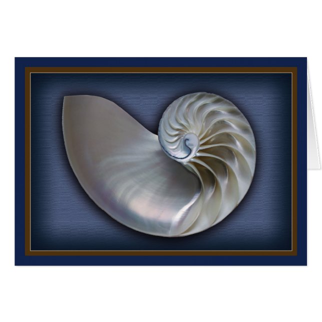 Nautilus Shell 2 horizontales (Anverso (Horizontal))