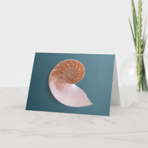 Nautilus Shell en la tarjeta de felicitación Ocean