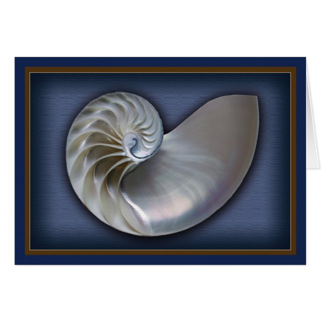 Nautilus Shell horizontal (Anverso (Horizontal))