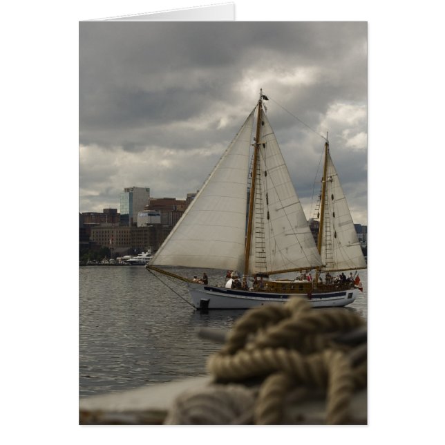 Navegación Knotical (Frente)