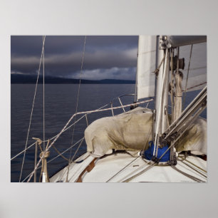 Navegar a una tormenta - Impresión Bella Artes
