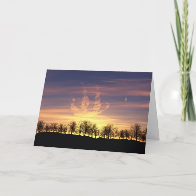 Navegar por la tarjeta de cielo nocturno (Anverso)