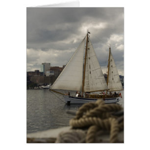 Navegar Por La Tarjeta Del Puerto