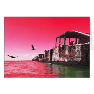 naves de hormigón de playa kiptopeke y pájaros soñ