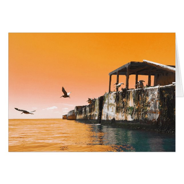 naves de hormigón de playa kiptopeke y pájaros soñ (Anverso (Horizontal))