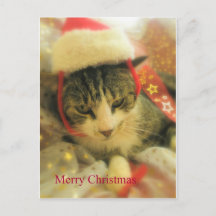 Navidad