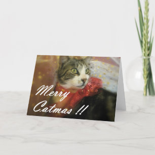 Navidad