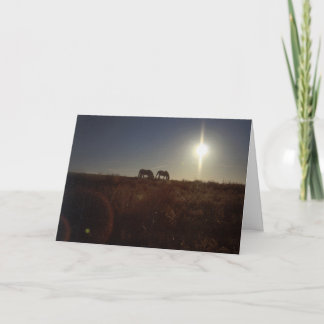 Navidad 2008 de OMRH