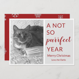 Navidad 2020 año no tan perfecto gato/mascota dive