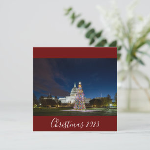Navidad 2023 en el árbol del Capitolio