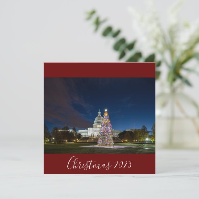 Navidad 2023 en el árbol del Capitolio (Anverso de pie)