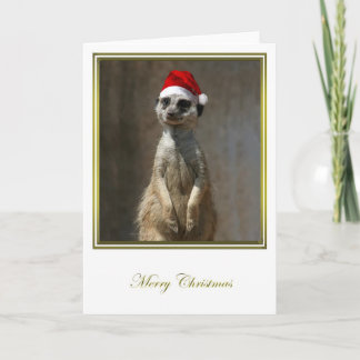 Navidad 2 de Meerkat