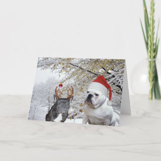 Navidad 2 del bulldog
