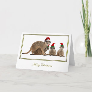 Navidad 3 de Meerkat