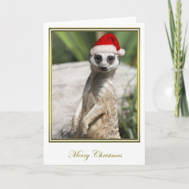 Navidad 4 de Meerkat (Anverso)