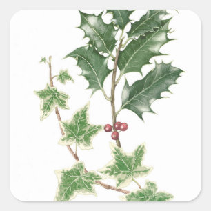 Navidad acebo y pegatinas botánicos de las
