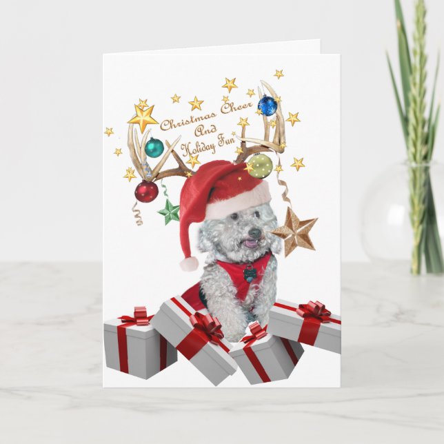 Navidad alegría y diversión de Cockapoo (Anverso)