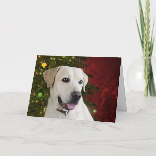 Navidad amarillo del labrador retriever (Anverso)