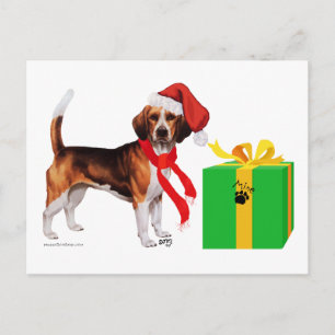 Navidad Beagle